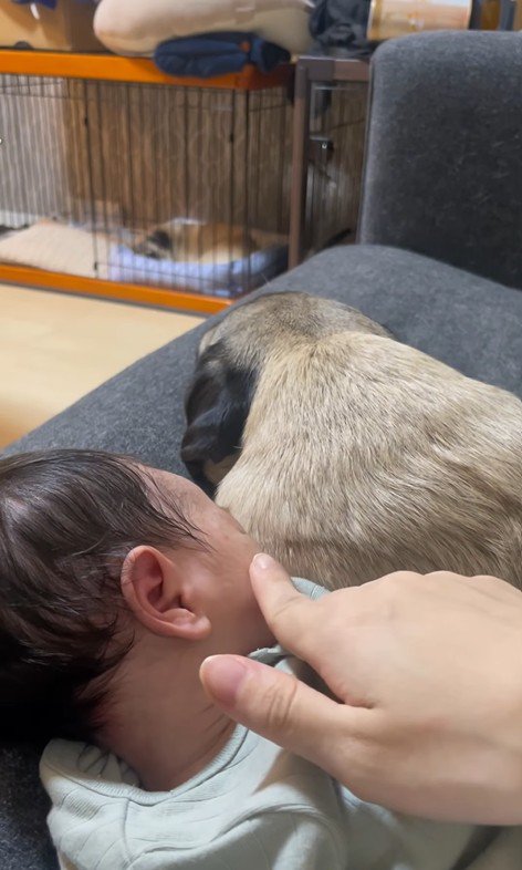 あぽ君とのえる君と赤ちゃん5