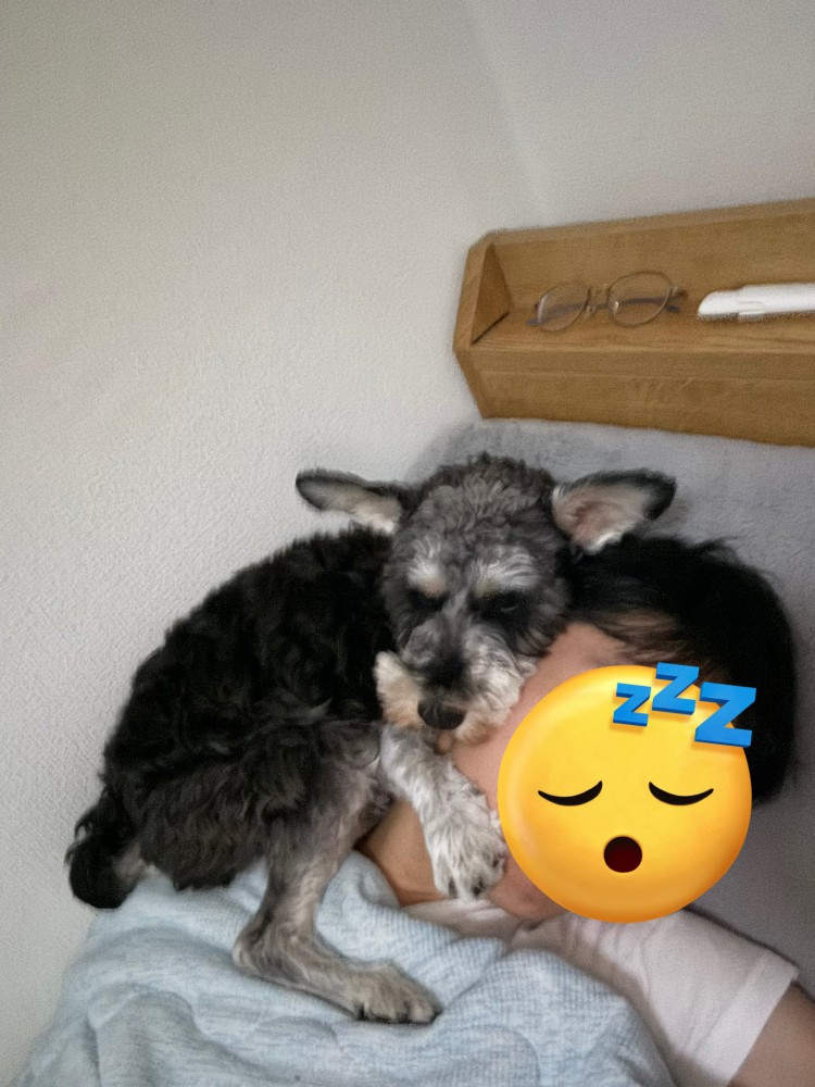 パパ