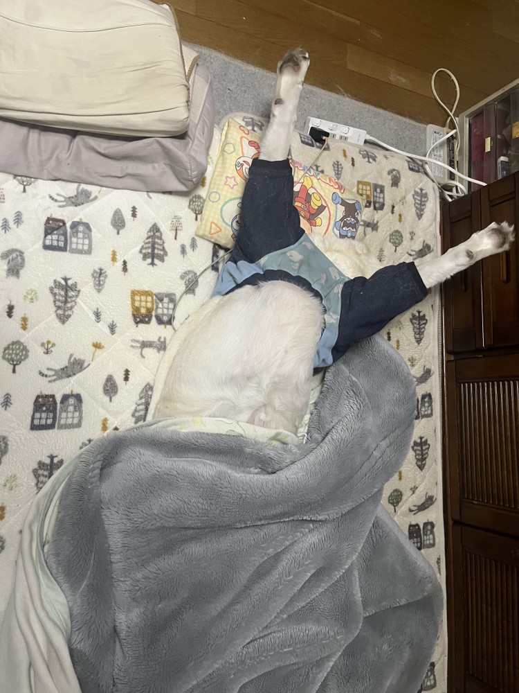 親の心子知らず