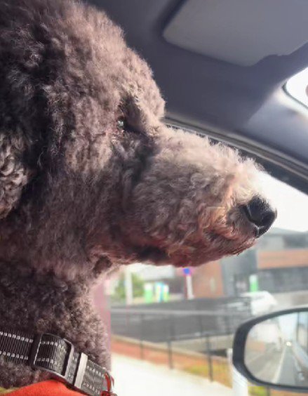 「今日もいい天気だ…」