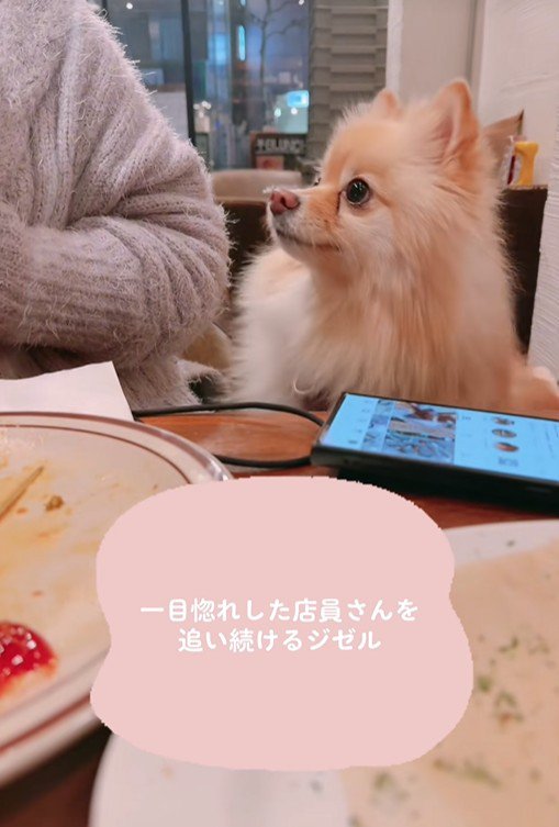 目で追っています