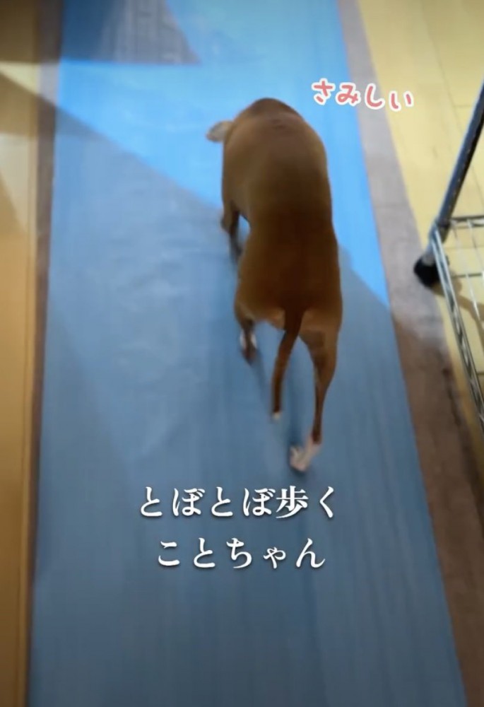 明らかに落ち込んでいます