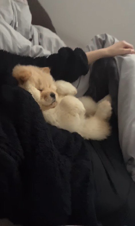 小梅ちゃんの成長