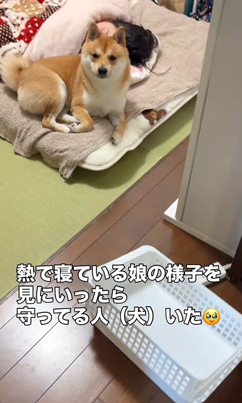 女の子のそばに雷丸くんが！