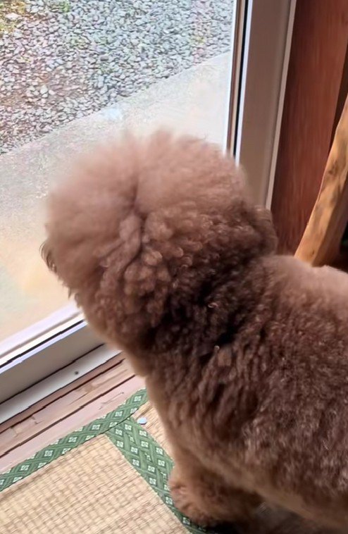 いつかまた会う日まで…