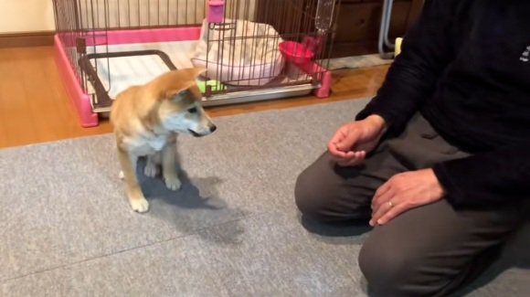 お父さんに近づくみなみちゃん
