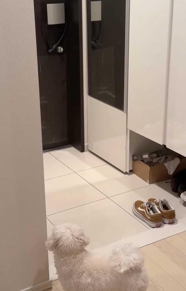 「まだかな…」