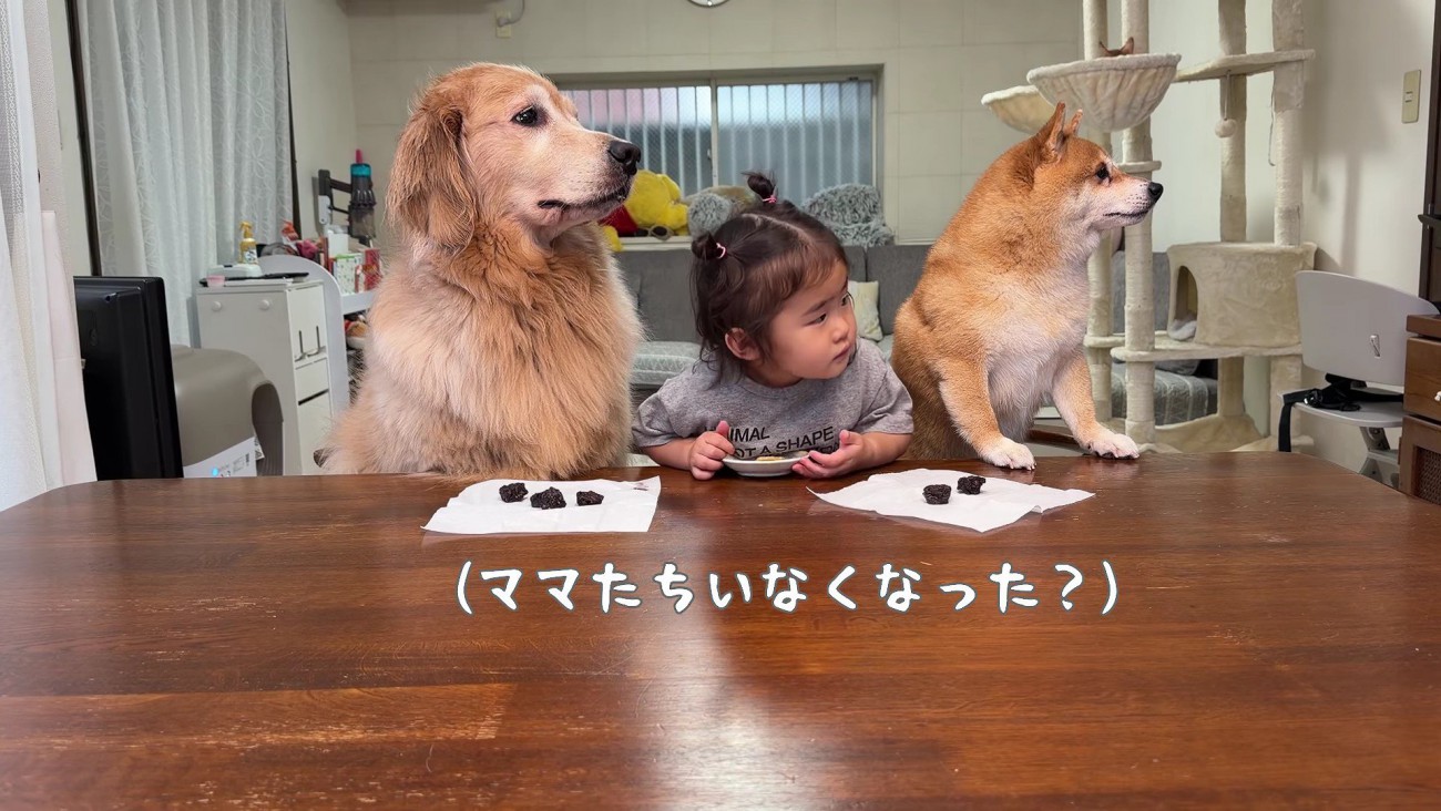 パパとママが出ると…