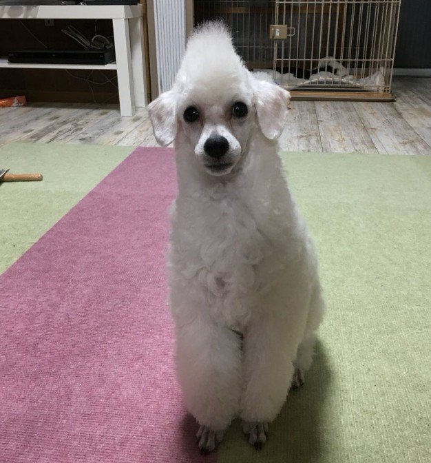 前から見てもインパクト大！！