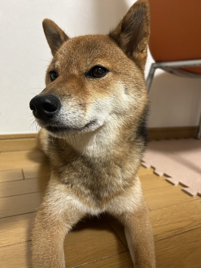 キリッ
