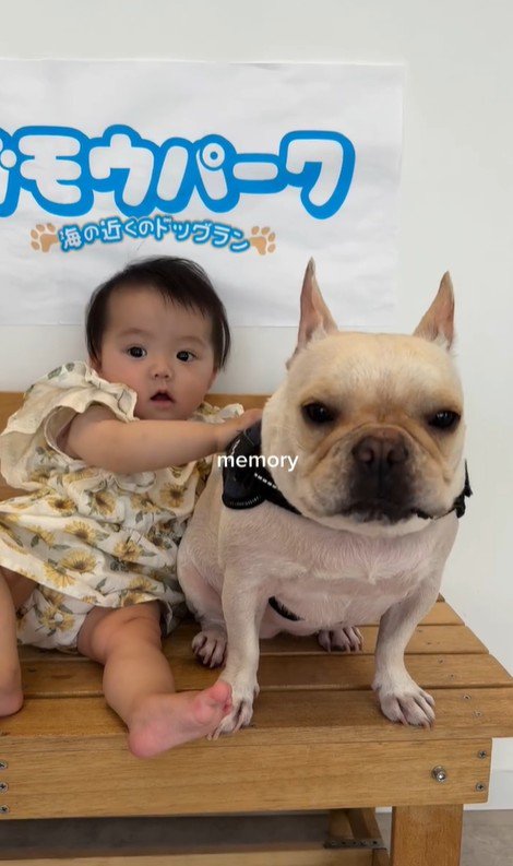 ぶうちゃんと赤ちゃん7