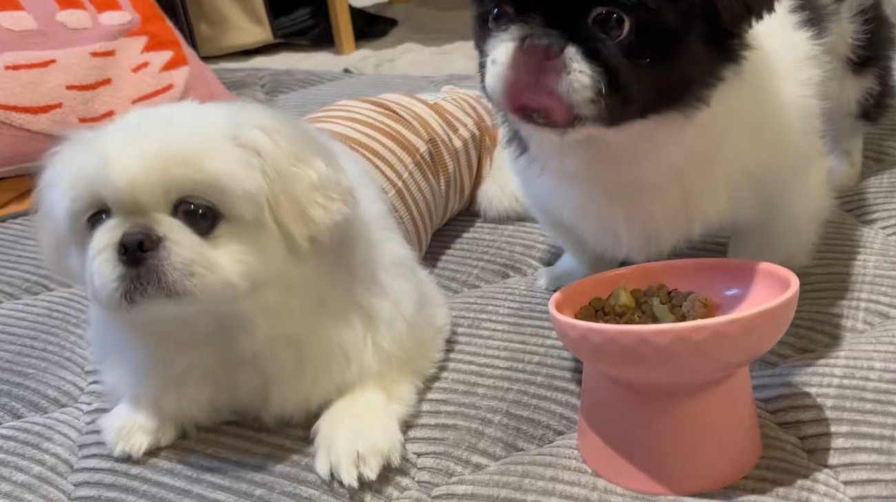 「まだ食べ終わらないのかな？」