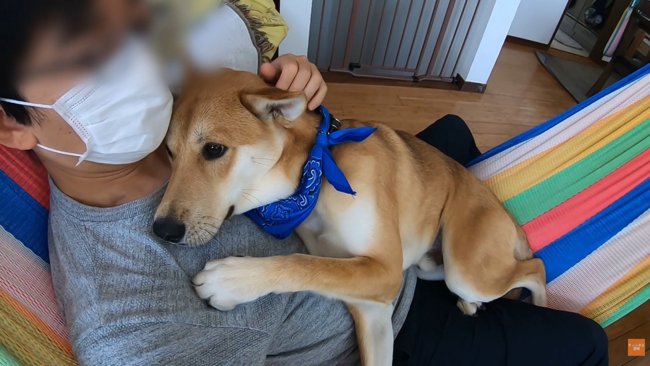 子どものように甘えん坊♡