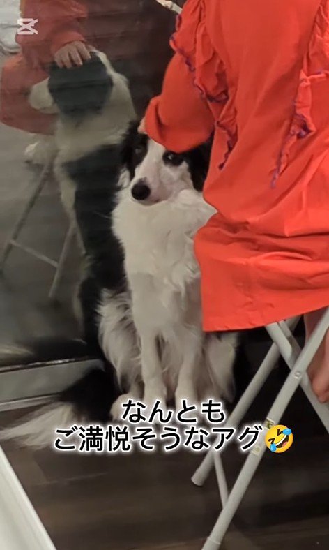 作業中のお姉ちゃんとアグちゃん9