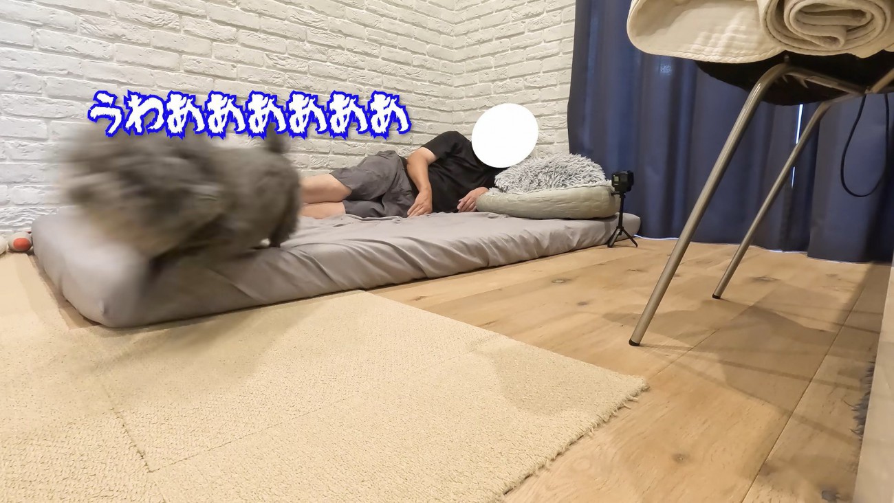 結局逃げてしまいました…