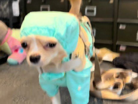 外科医の手術服みたい…！