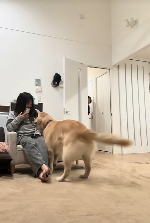 ハナコちゃんとお姉ちゃんの再会4