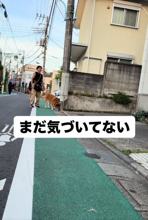 下を向く犬