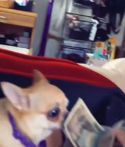 「はい！ちゃんと渡したよ！」