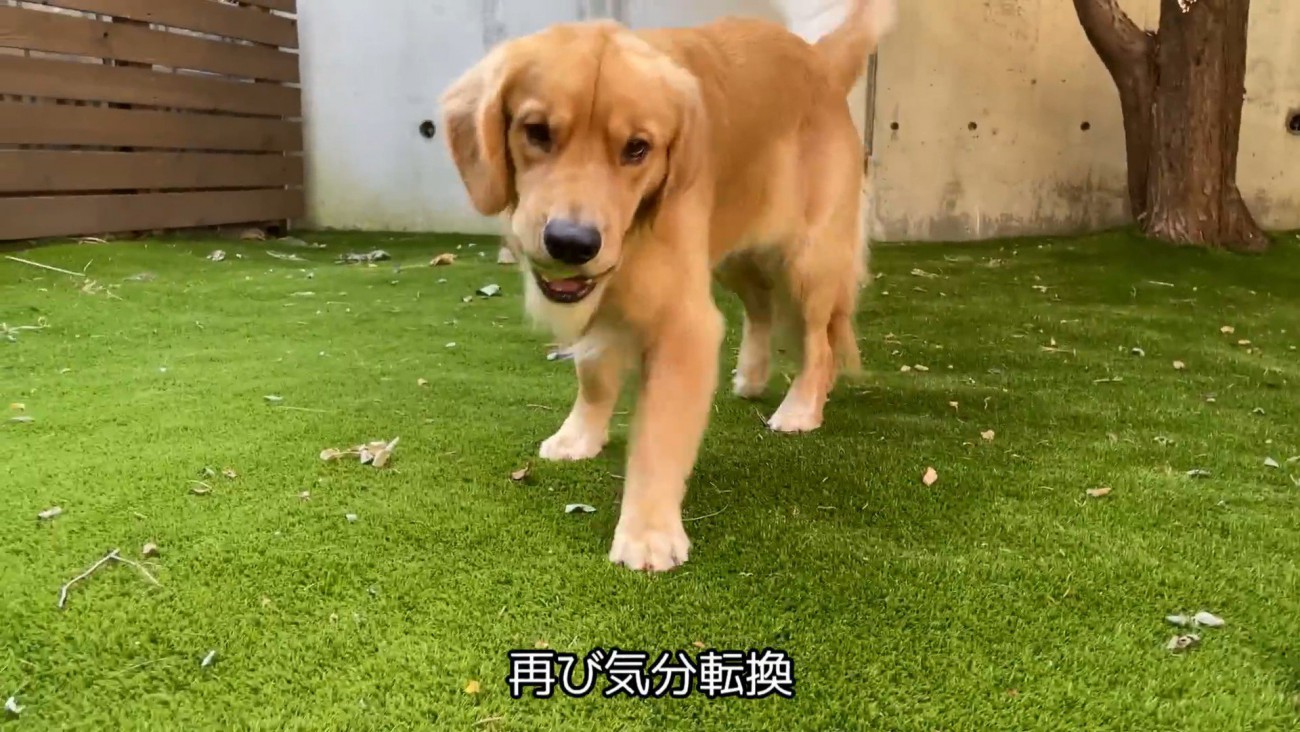 お庭で遊んで気分転換