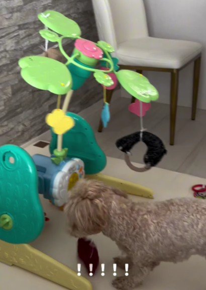 想像以上に気に入った♪