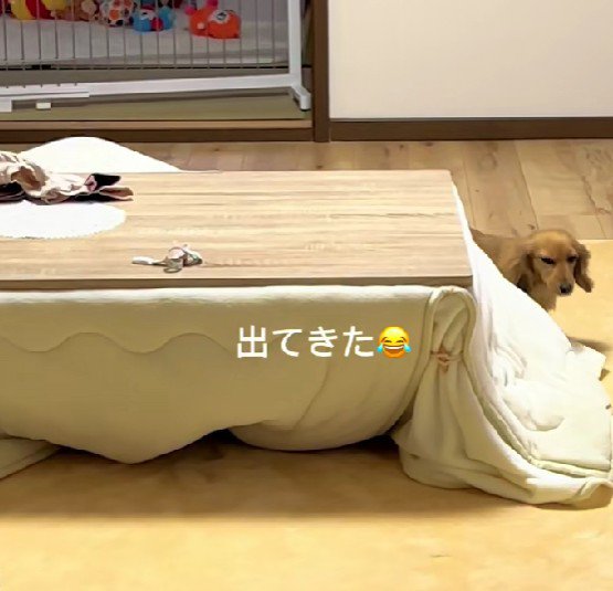 反対側からささっと外へ