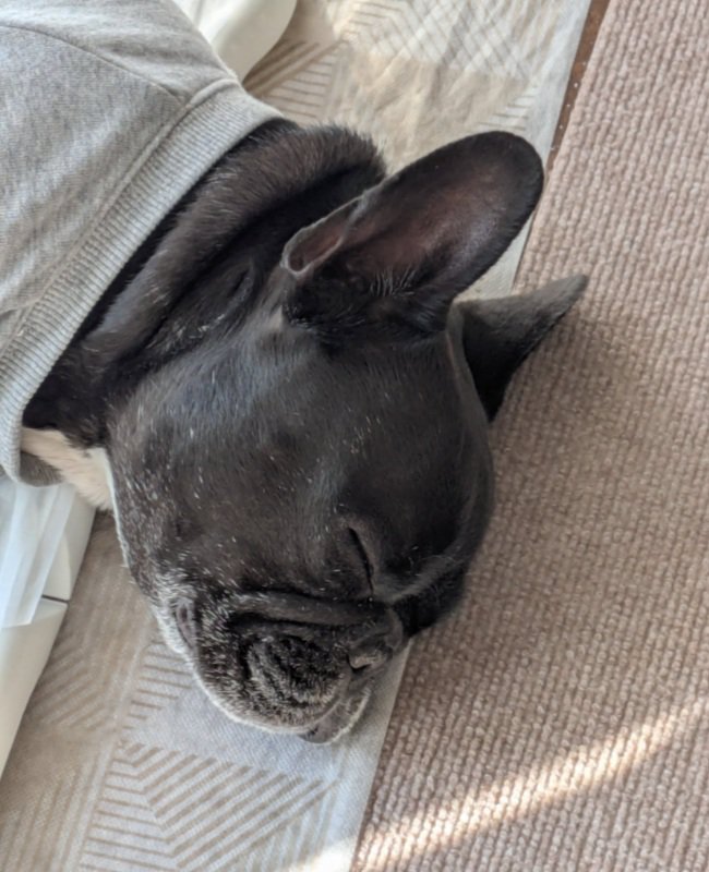 眠るジーナちゃん