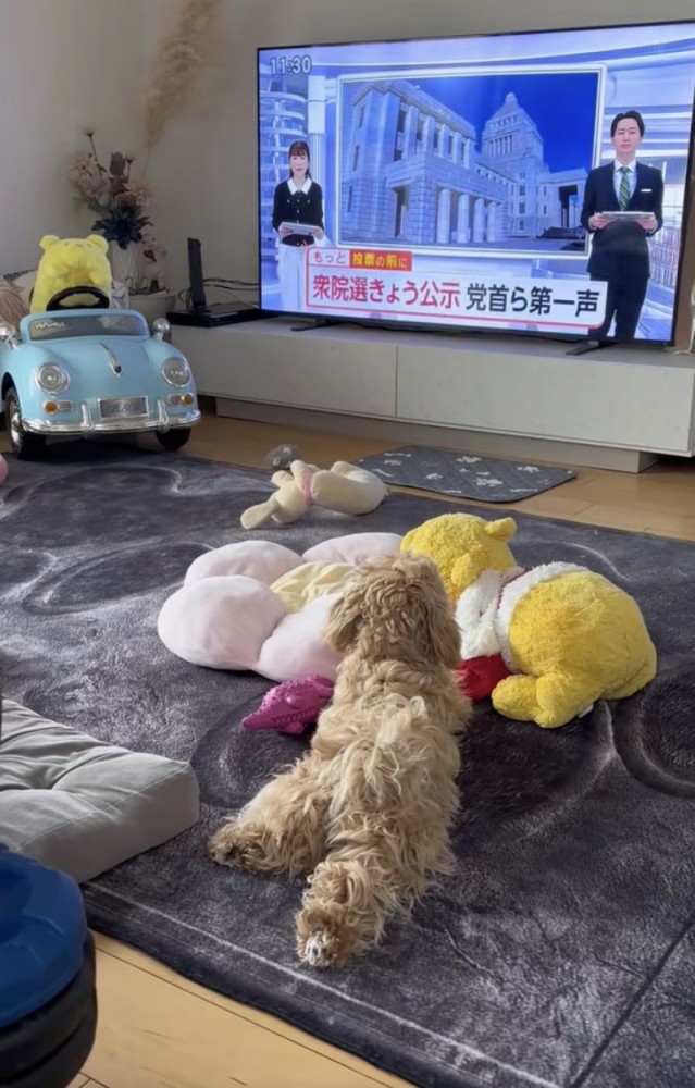 「ウッ」と声でもお返事