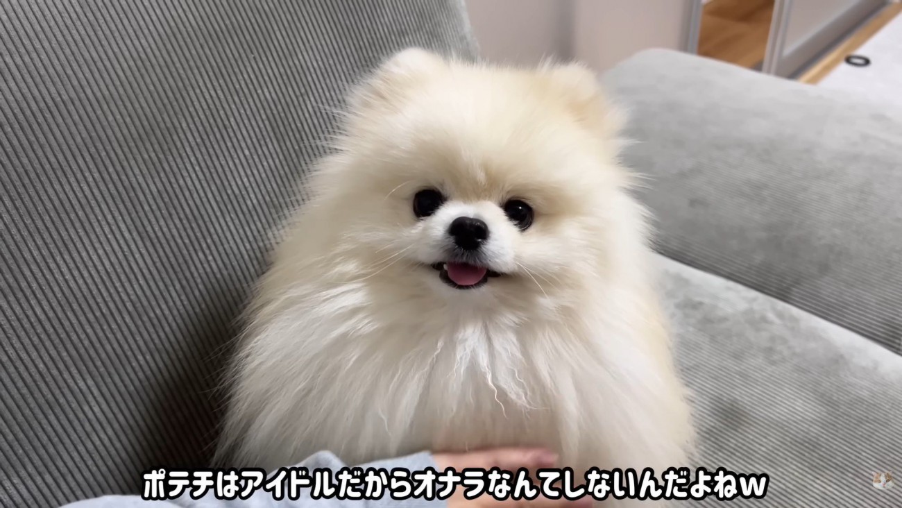 すっかりご機嫌に♪