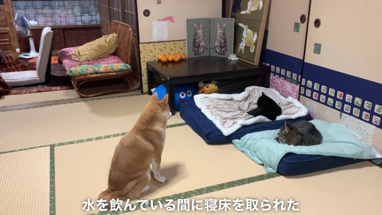 哀愁漂う背中が切ない…