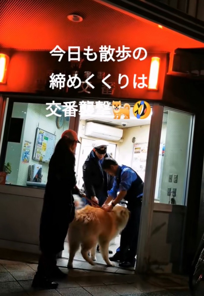 警察官と戯れる秋田犬