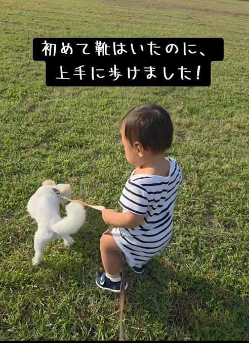 散歩をする小型犬と赤ちゃん