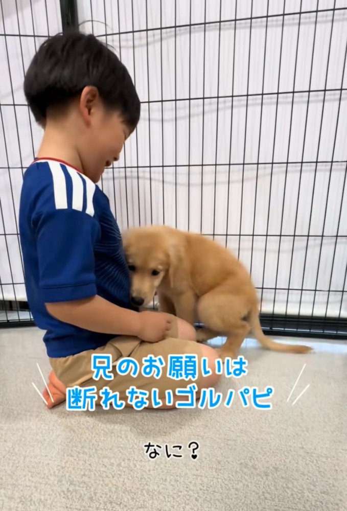 隣に座る子犬