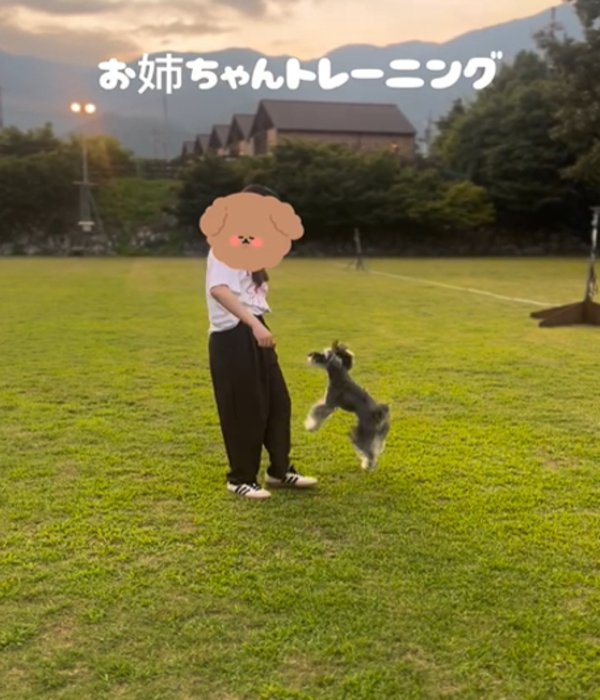 お姉ちゃんと犬2