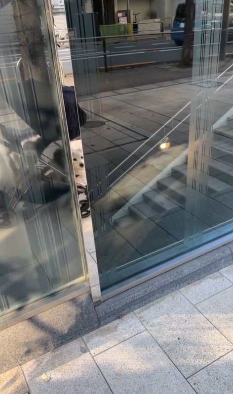 こたつ君と赤ちゃんの日常5