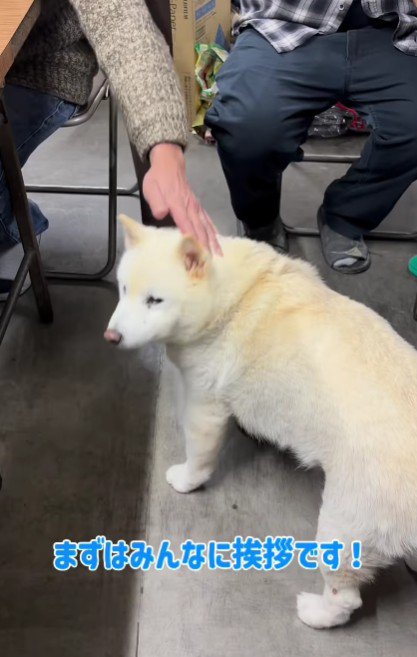 会社の忘年会に参加