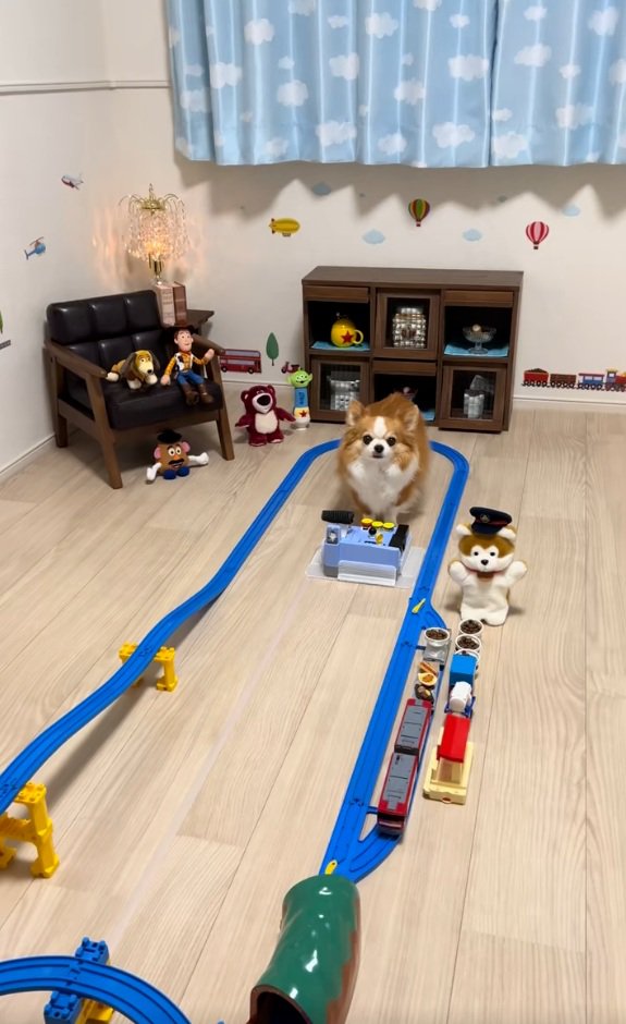 運転台の前に座るラピくん