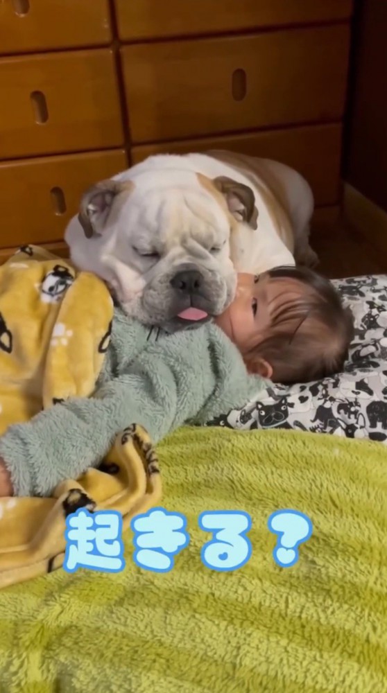 女の子に話しかける飼い主