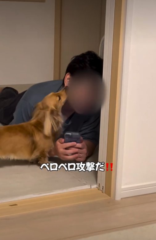 顔をなめる犬1