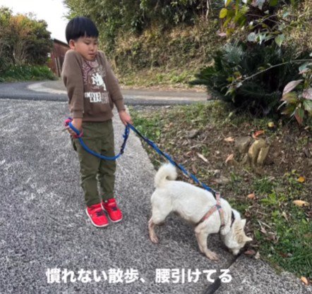 少しずつ慣れて…