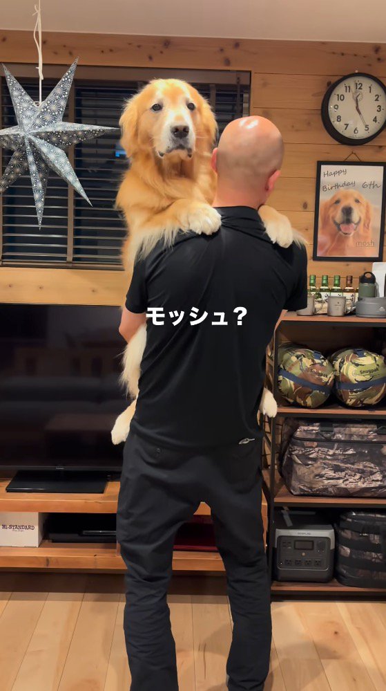 静かに男性に抱っこされる犬