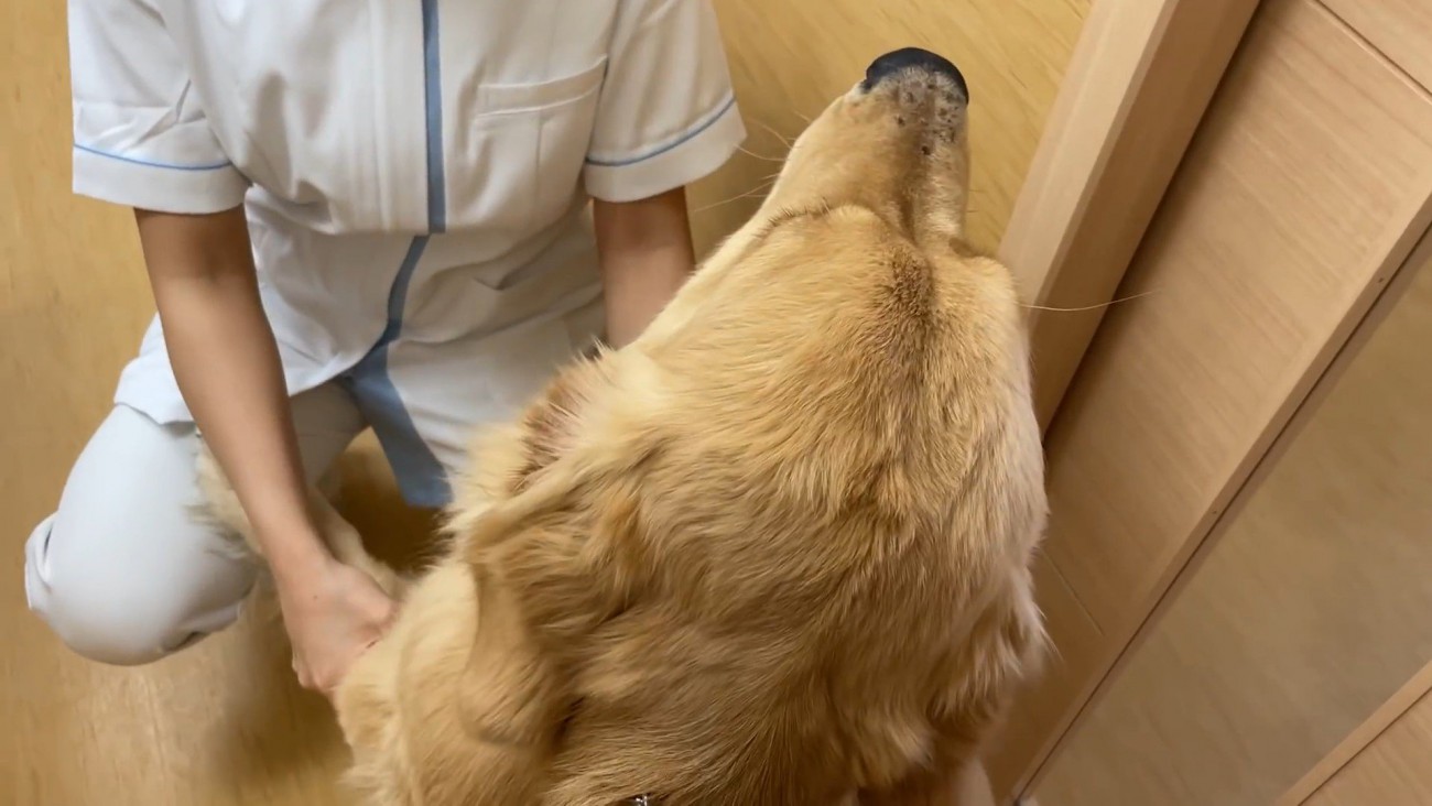 看護師さんにご挨拶