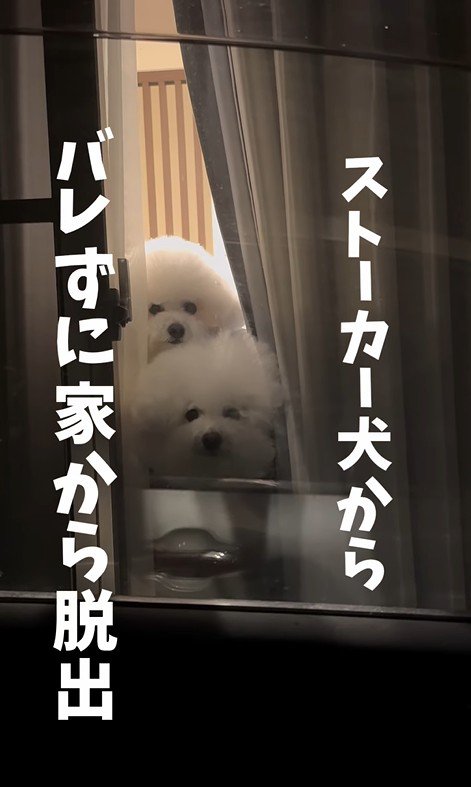 バレないで家を出られるか挑戦