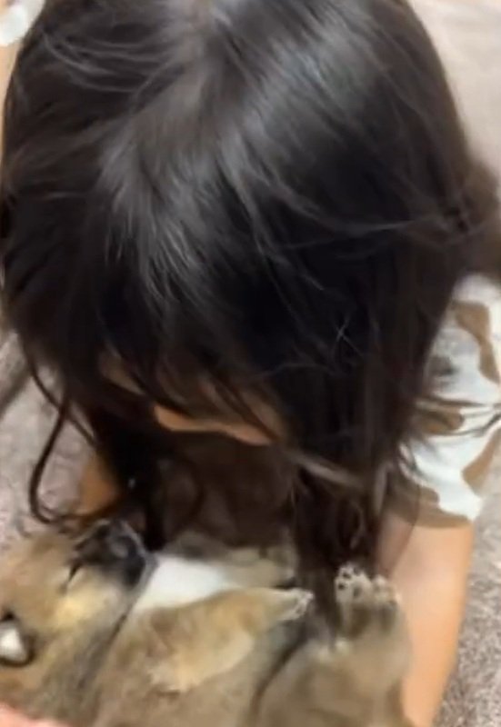 手を引き抜く娘さん