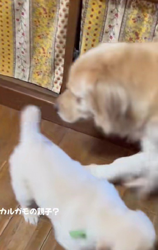 なんとかみんなに追いついたよ！