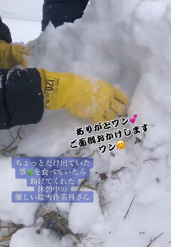 「在庫出しますから！」