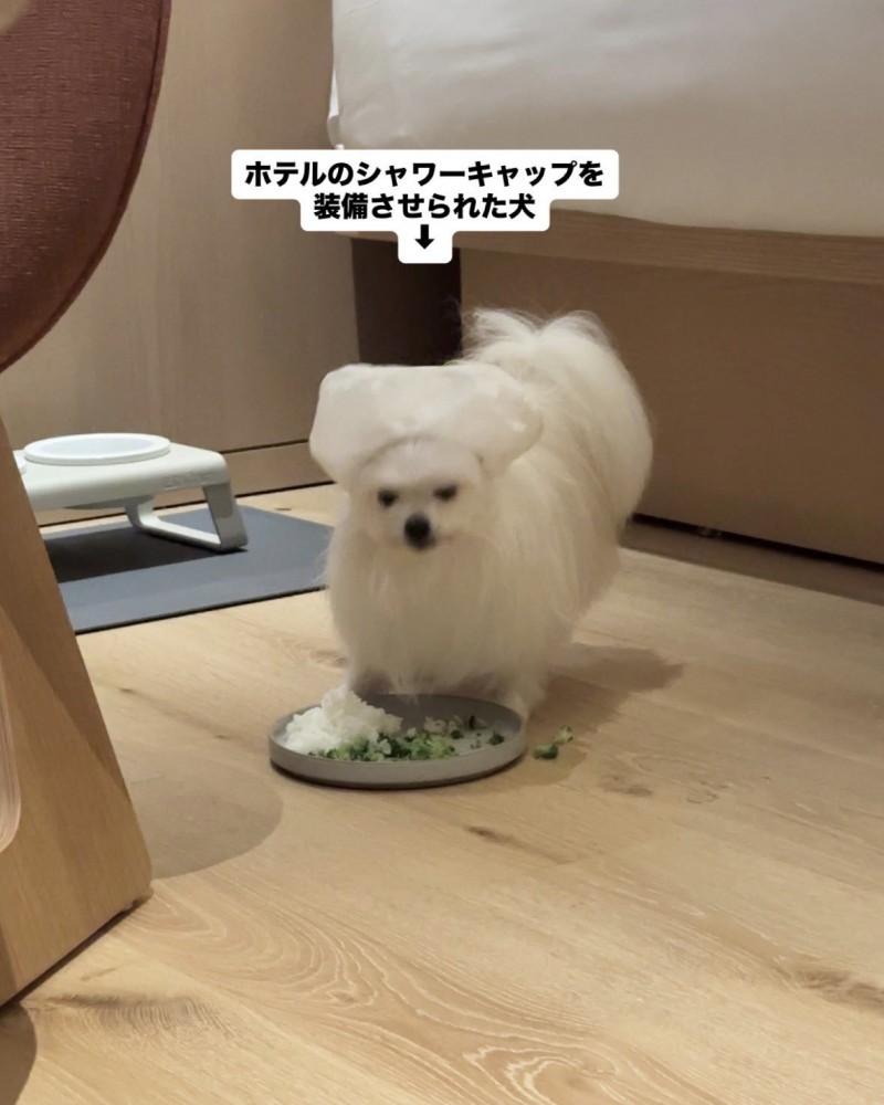 ライフハック