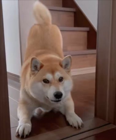 呼びかけ