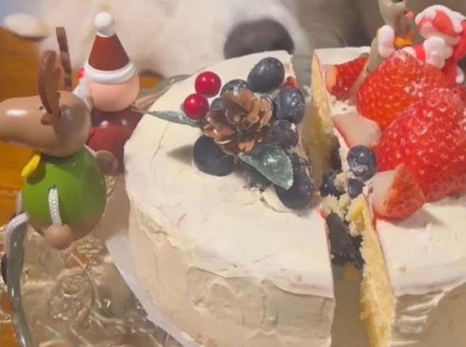 性別発表サプライズ