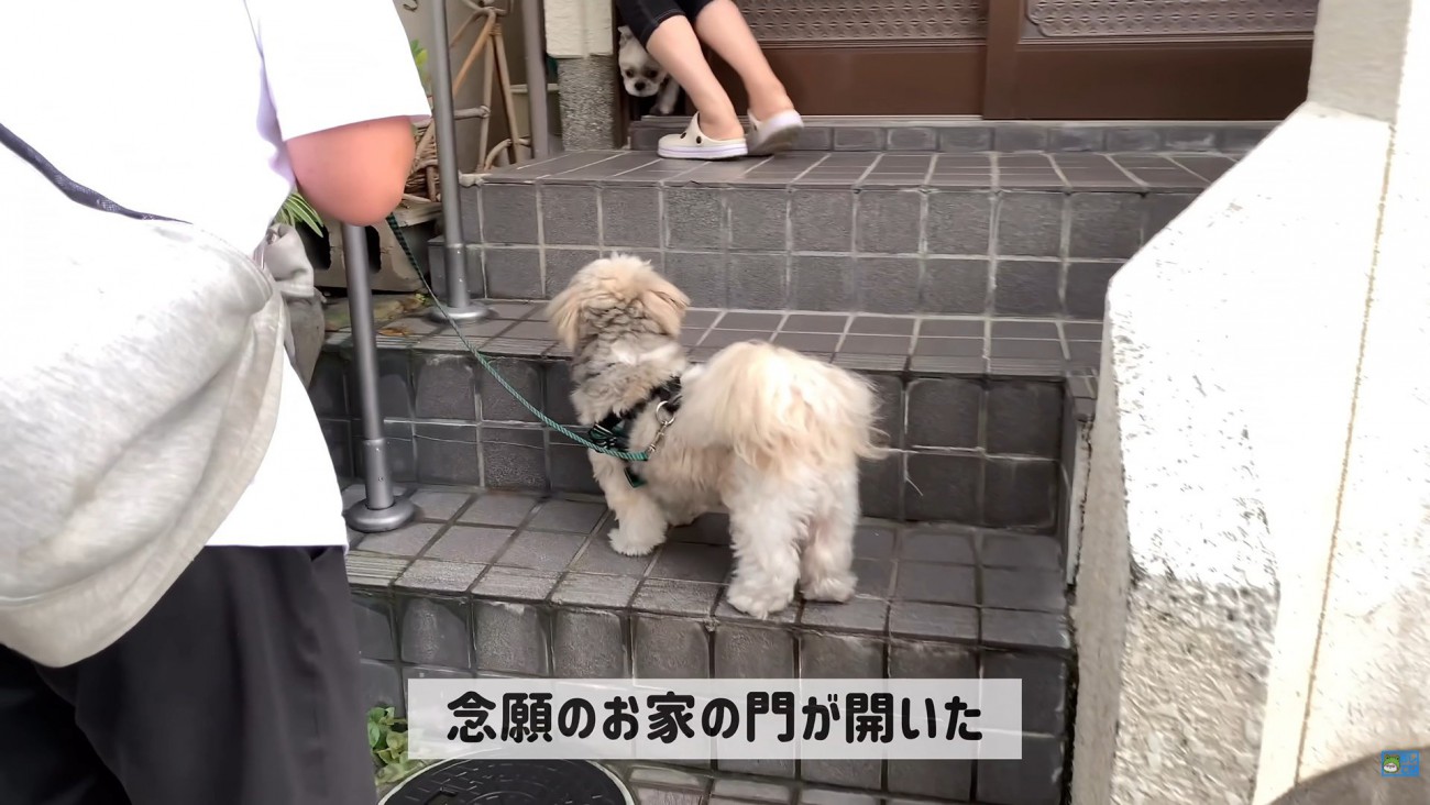 お友達のココちゃん登場！